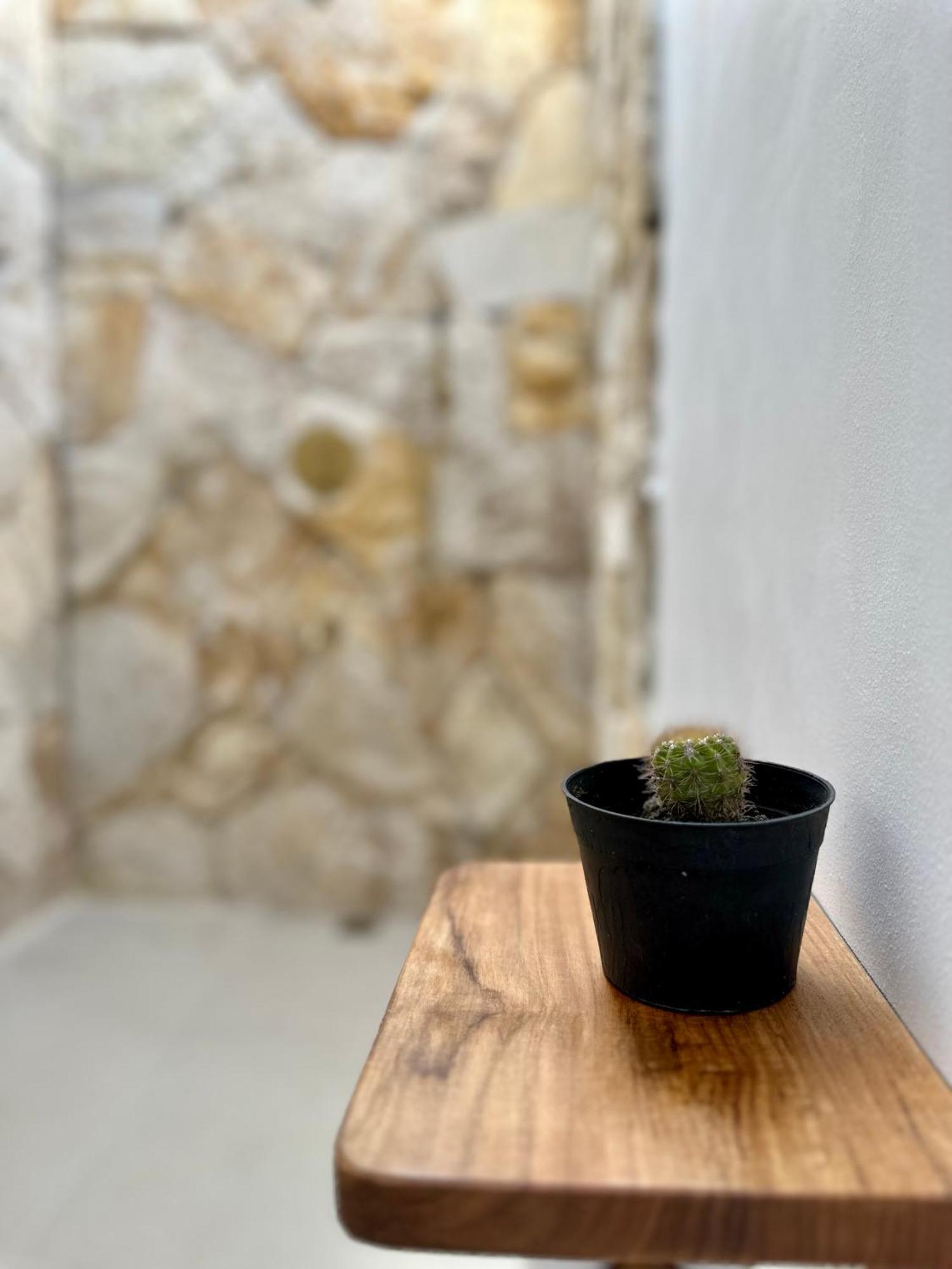 גילי טרוונגן Rumah Canaria Bungalow מראה חיצוני תמונה